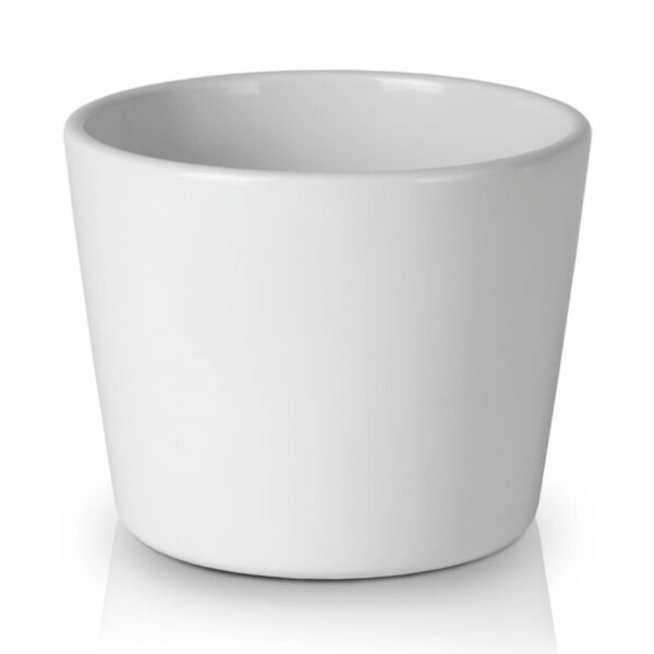 Lillepott Priimula Ø13x h10cm valge