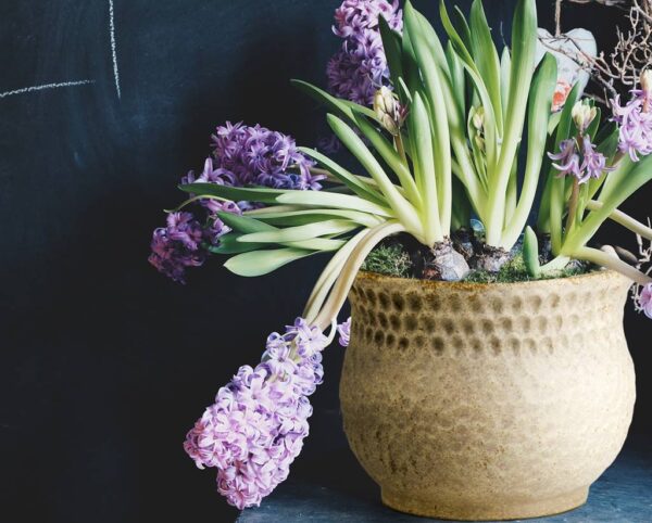 Lillepott Nicz Ø20x h17cm kreem