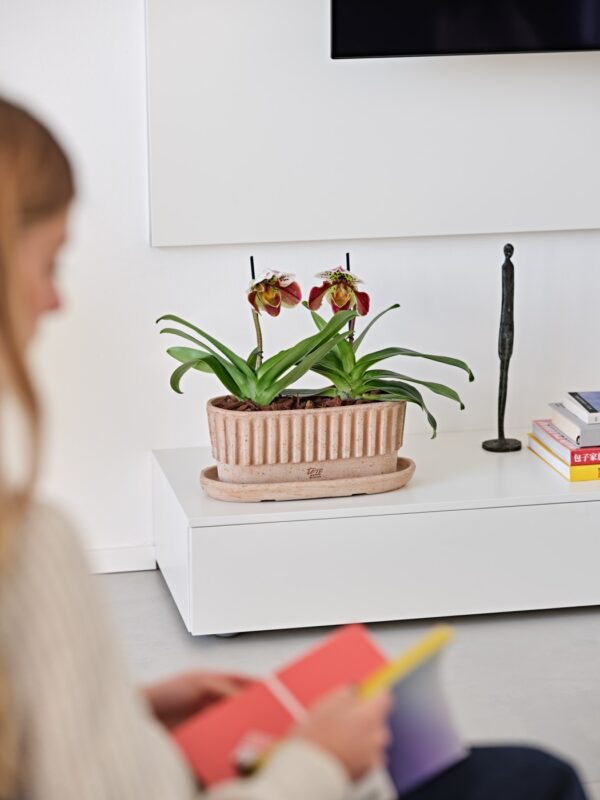 Savipoti alustaldrik 36x15cm tumepruun