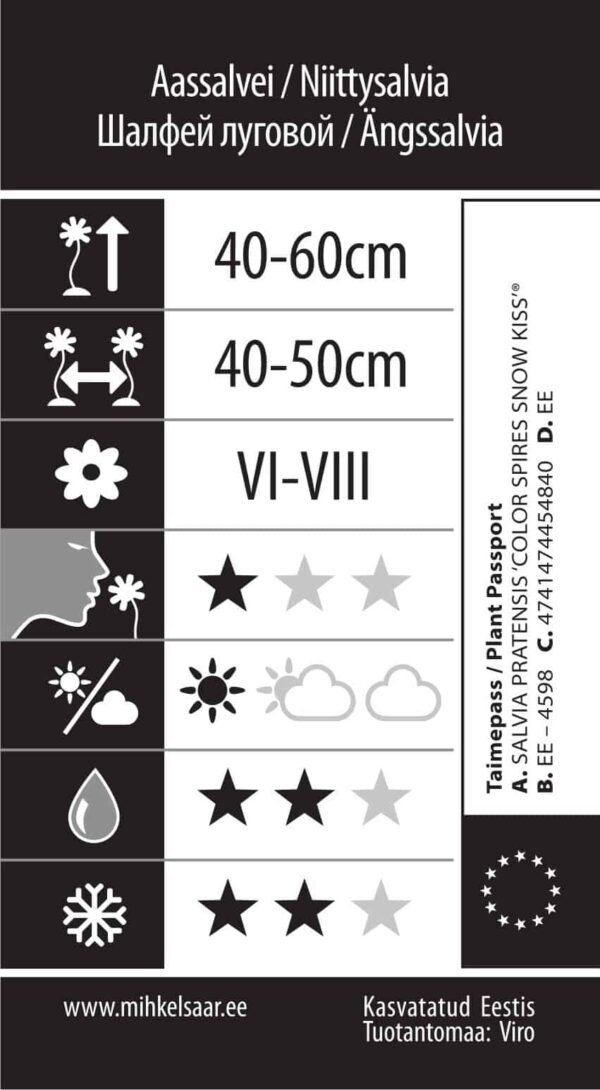 Aassalvei 'Color Snow Kiss' P17 Eestis kasvatatud
