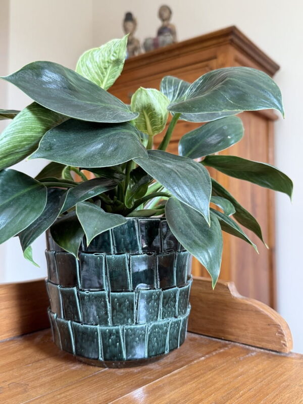 Lillepott Ristkülik Ø18x h16cm roheline