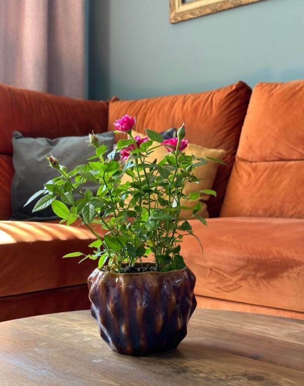 Lillepott Kumerused Ø16x h13cm sinakaspruun