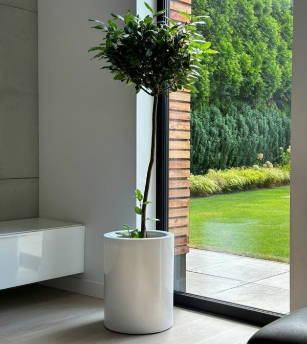 Õuepott Cylin Ø40x h50cm valge