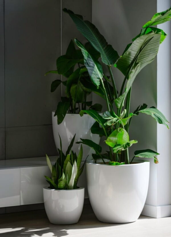 Õuepott Doni Ø36x h30cm valge