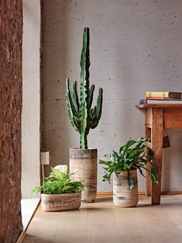 Savipott Minerva 36x13x h13cm pruun