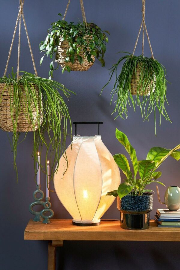 Riputatav punane korv Avalon Ø30x h90cm helepruun