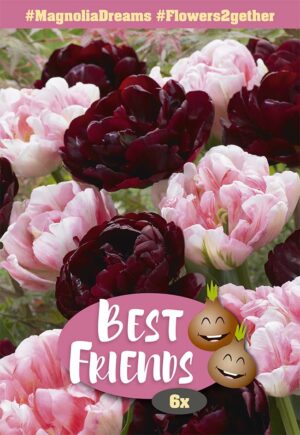 Best Friends #MagnoliaDreams 6tk