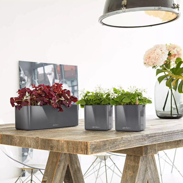 Lechuza lillepott Cube Glossy Triple 14x40x h13,5cm tumehall läikiv