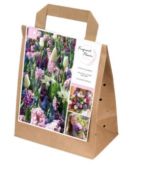 Aromaatne kevade sibulillede segupakk 30tk