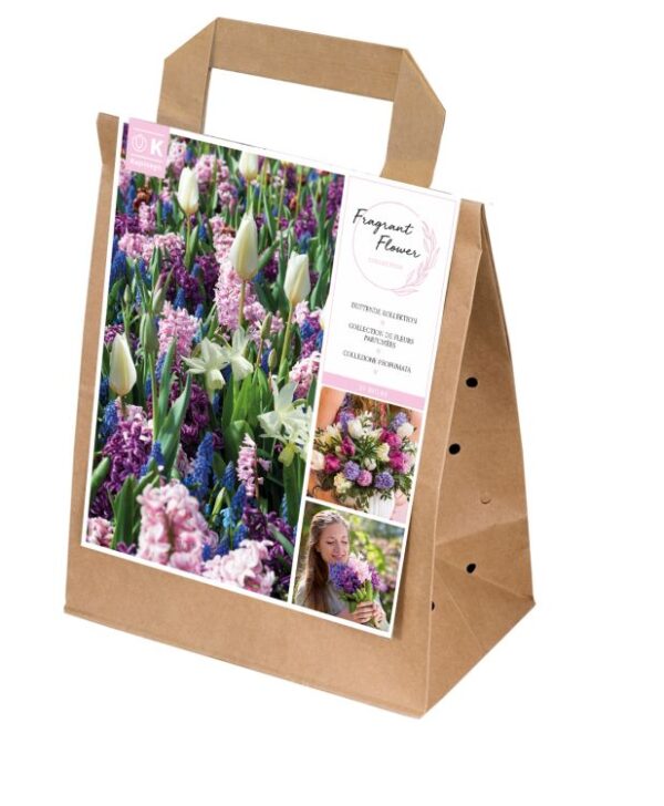 Aromaatne kevade sibulillede segupakk 30tk