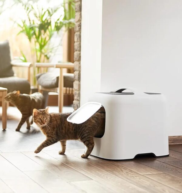 Liivakast kassile Smart Olimpia beež