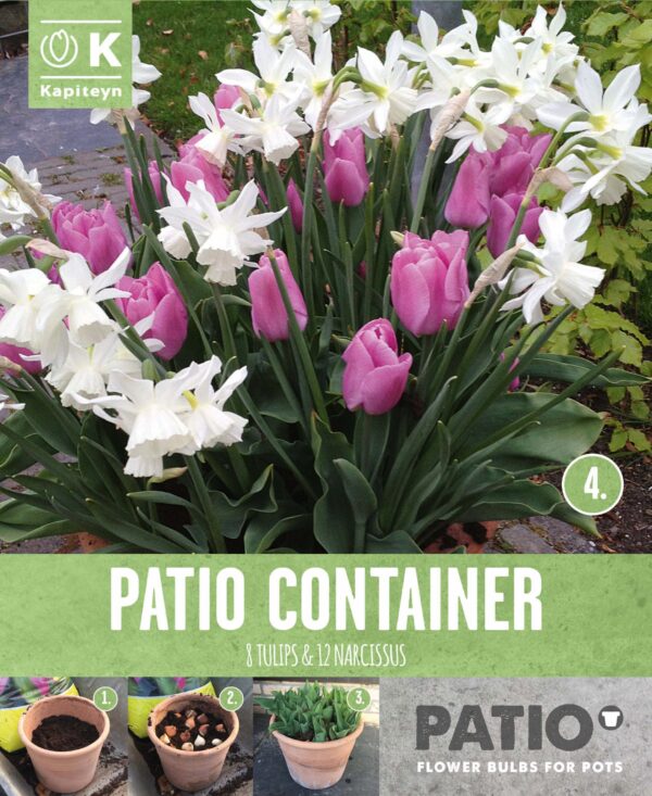 Konteinerisegu tulp-nartsiss 15tk