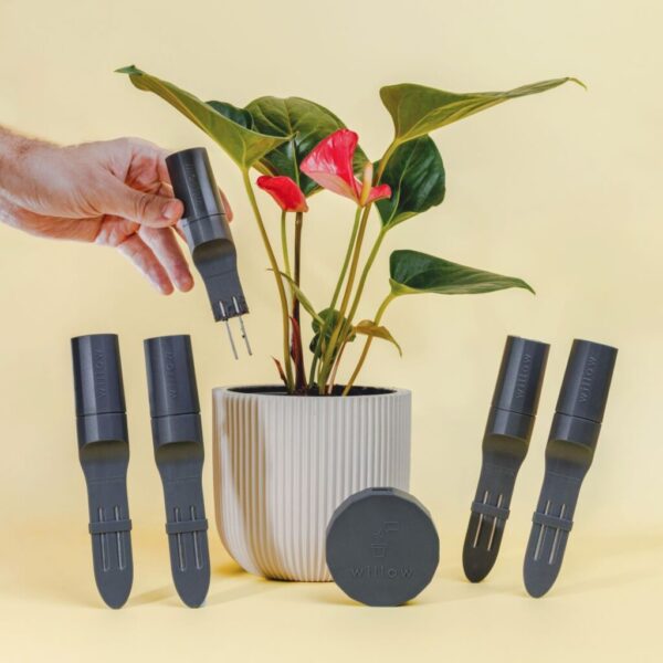 Willow taimesensori kompl 5+1, tumehall