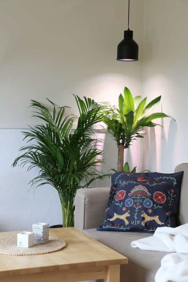 Taimelambi kuppel Saga E27, max 40W, must