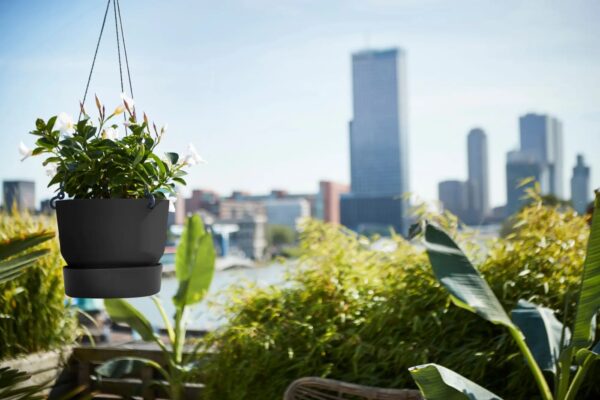 Ampel Greenville alusega Ø24cm must