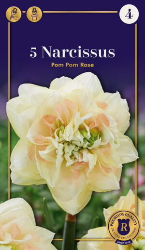 Nartsiss ‘Pompom Rose’ 5tk