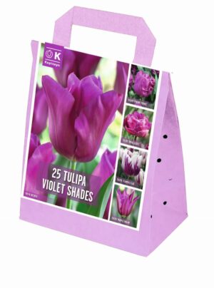 Tulp segupakend 25tk lillad toonid