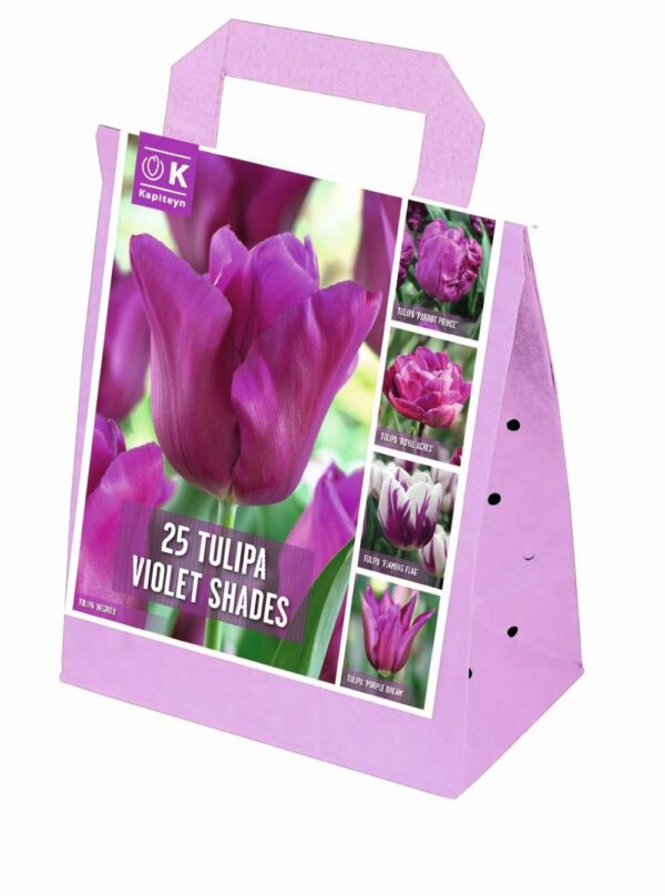 Tulp segupakend 25tk lillad toonid
