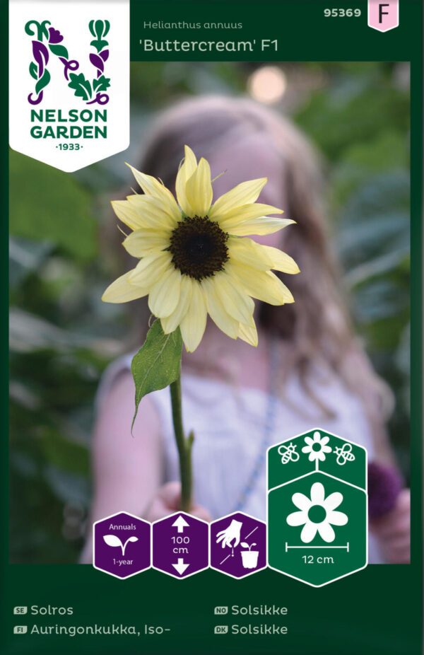 Päevalill 'Buttercream' F1