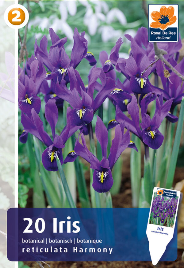Võrkiiris 20tk