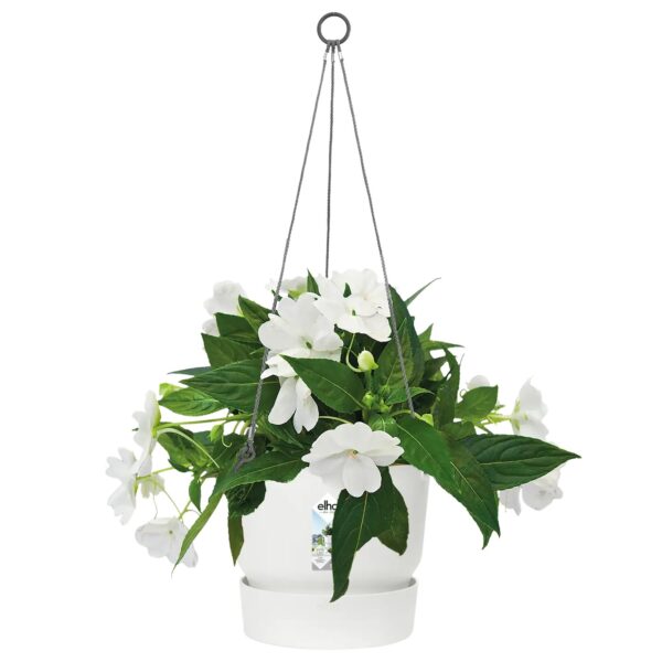 Ampel Greenville alusega Ø24cm valge