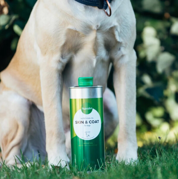 Õli koera nahale ja karvale 265ml