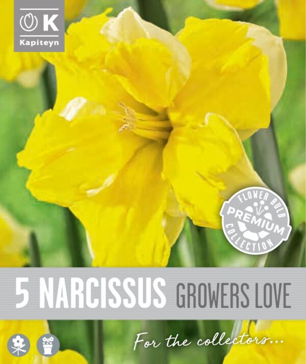 Nartsiss 'Growers Love' 5tk
