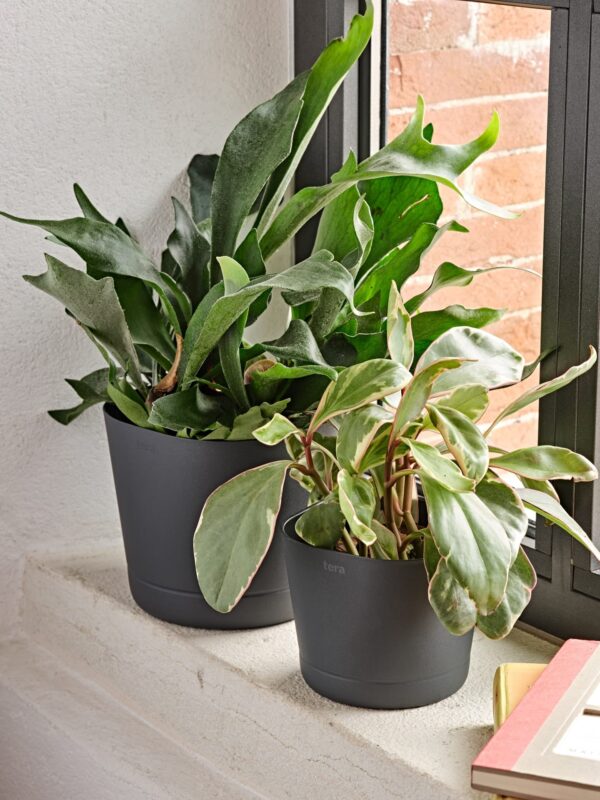 Lillepott Colorado Ø20x h18cm lilla