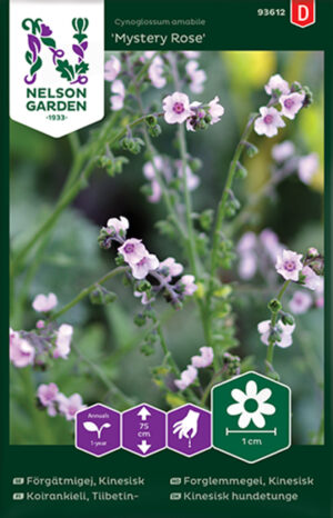 Aedrass ‘Mystery Rose’