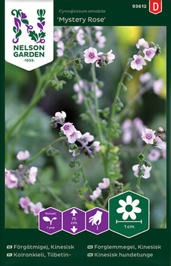 Aedrass 'Mystery Rose'