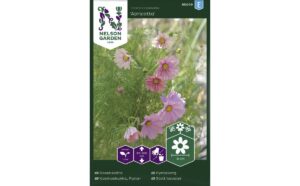 Harilik kosmos ‘Apricotta’