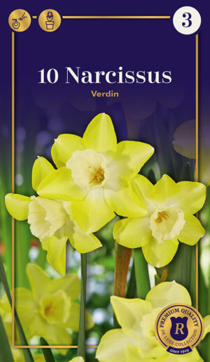 Nartsiss ‘Verdin’ 10tk