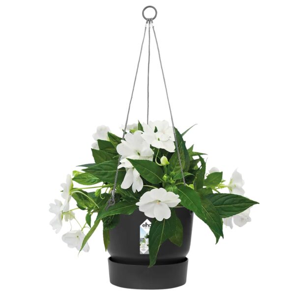 Ampel Greenville alusega Ø24cm must