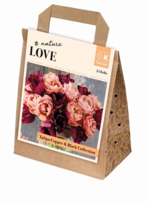 Lõikelilled hele ja tume tulp 25tk