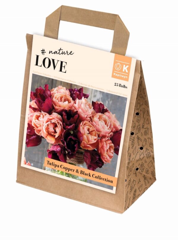 Lõikelilled hele ja tume tulp 25tk