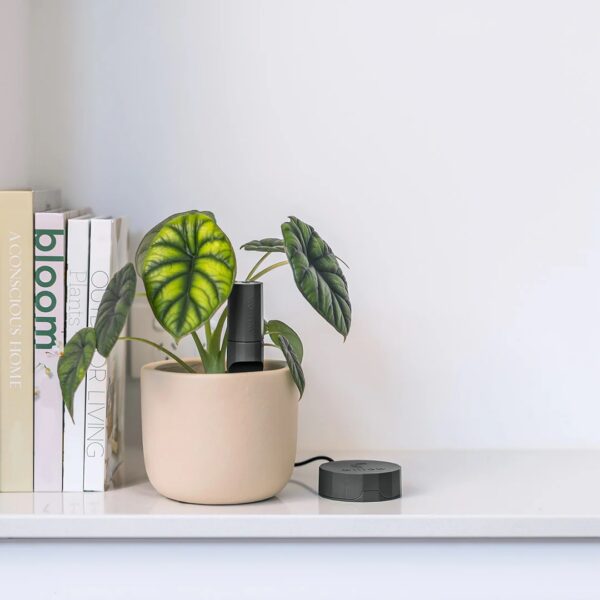 Willow taimesensori kompl 1+1, tumehall