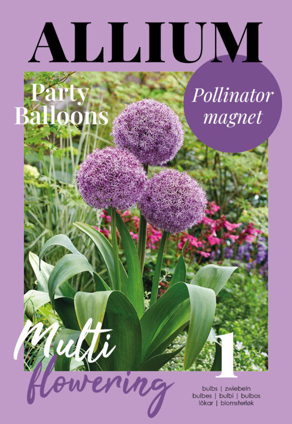 Lauk 'Party Balloons' 1tk