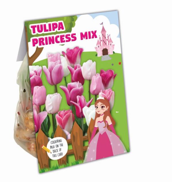 Kinkepakend Printsessi tulp 10tk