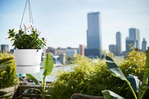 Ampel Greenville alusega Ø24cm valge