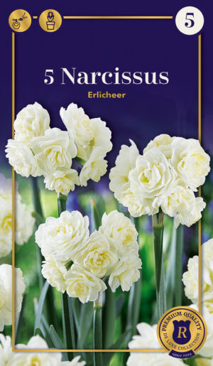 Nartsiss ‘Erlicheer’ 5tk