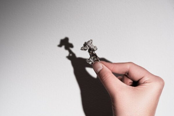 Tina hobuseraud 2tk/pk