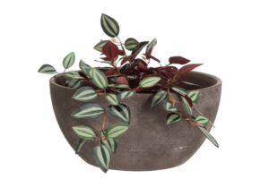 Lillepott Iraklion Ø34x h16,5cm pruun