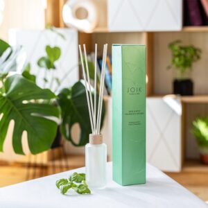 Kodulõhnastaja Basiilik ja münt 100ml