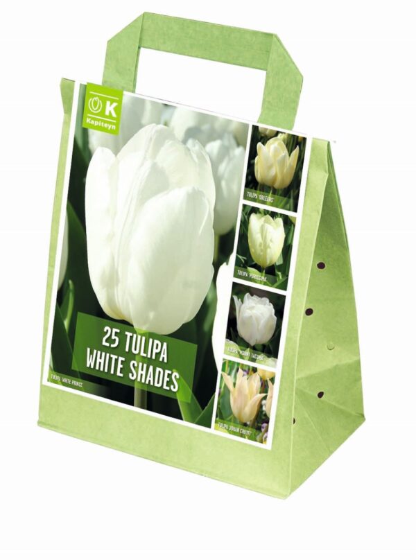 Tulp segupakend 25 tk valged toonid