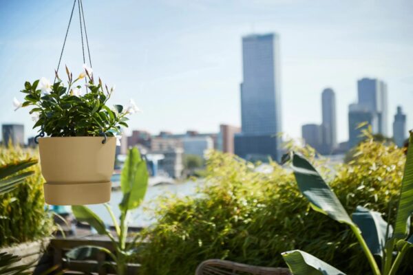 Ampel Greenville alusega Ø24cm beež