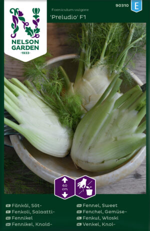 Harilik apteegitill ‘Preludio F1’ 35s