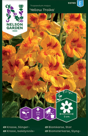 Mungalill ‘Yellow Troika’