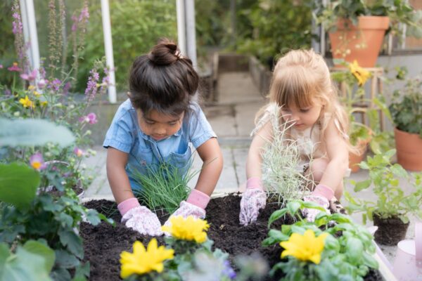 Töökindad lastele Fairy Garden roosa
