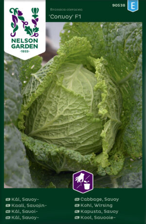 Kähar peakapsas ‘Convoy F1’ 18s