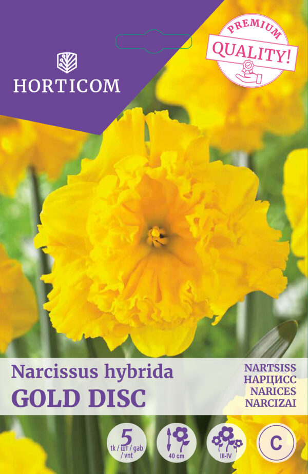 Nartsiss 'Gold Disc' 5tk